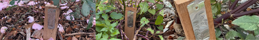 Keeping Track of Dormant Plants in Winter