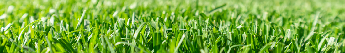 Lawn more like yawn!