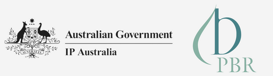 What is PBR and what does it mean?