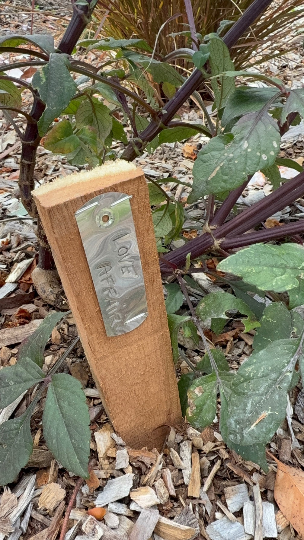 Aluminium Weatherproof Plant Labels
